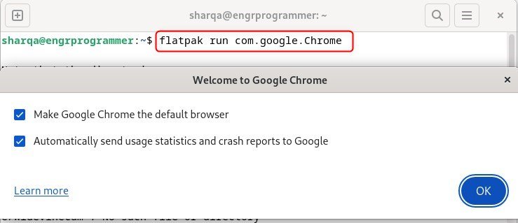 Launching Chrome using Flatpak