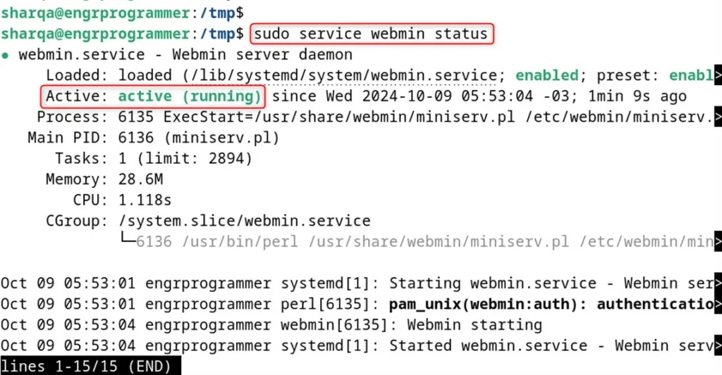 check the status of Webmin