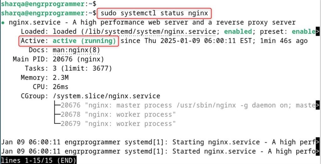 Verify the Installation nginx on debian 12