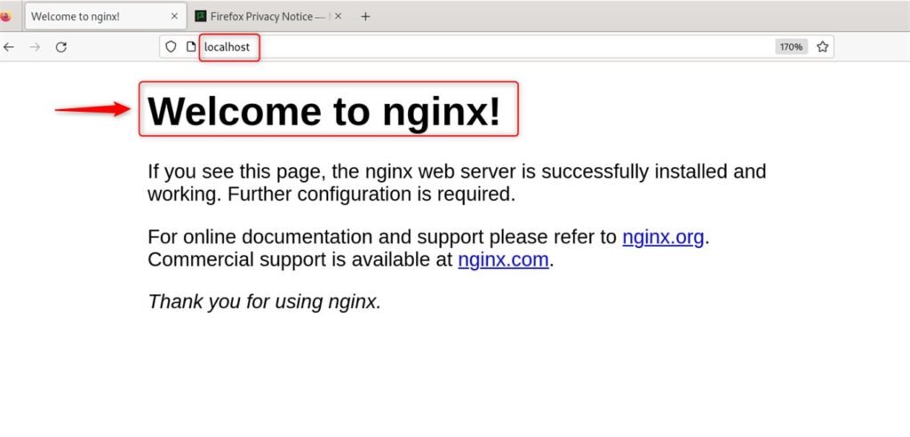 launch nginx on debian 12